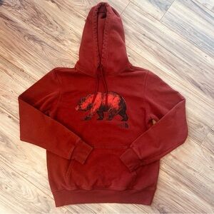 The North Face Bear Graphic Hoodie Men’s Small | Red Rust Pullover
